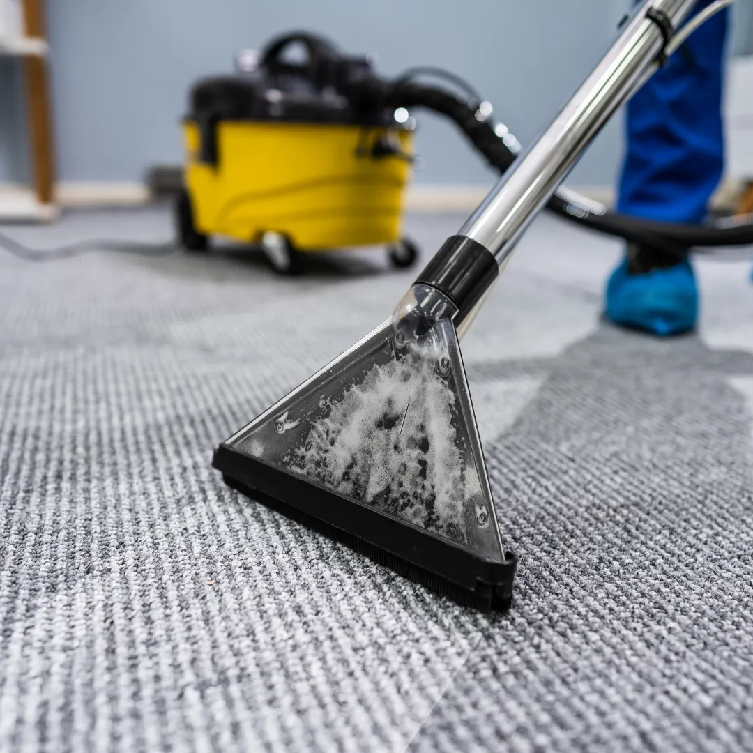 Carpet Cleaning