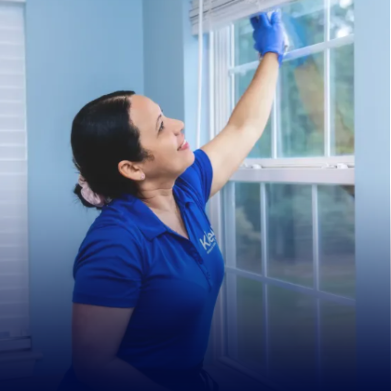 Window Cleaning