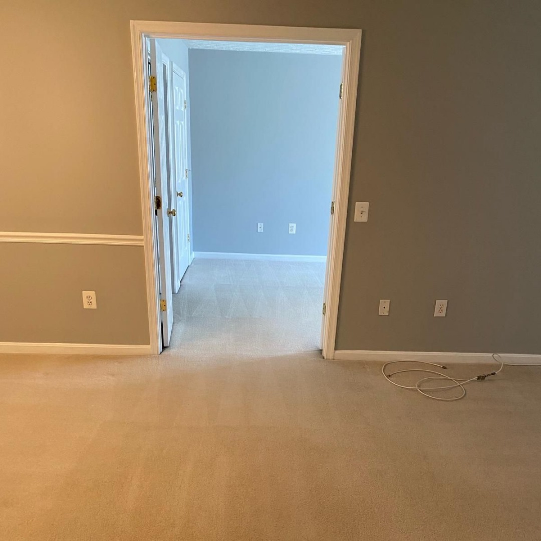 Move In / Move Out Cleaning