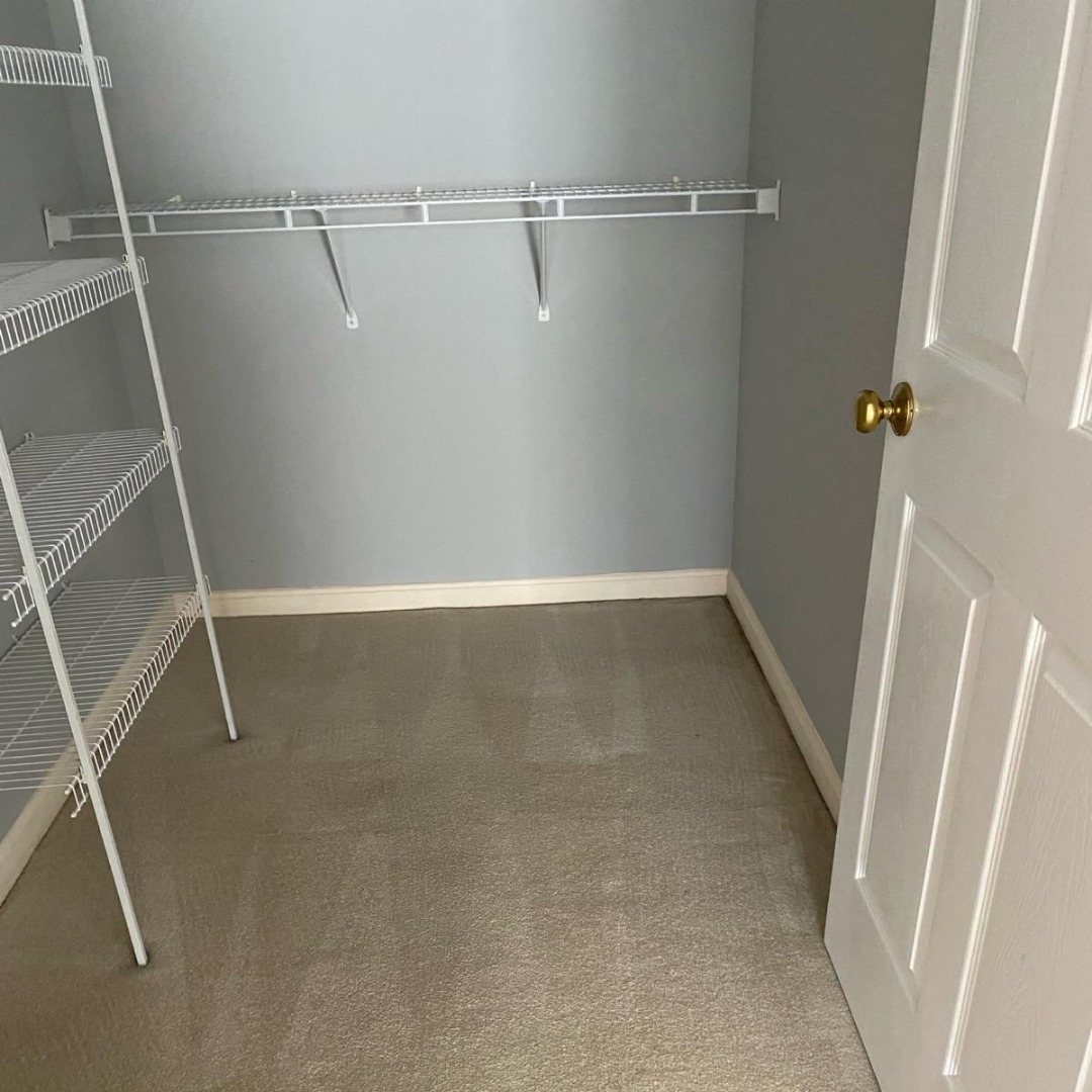 Carpet Cleaning